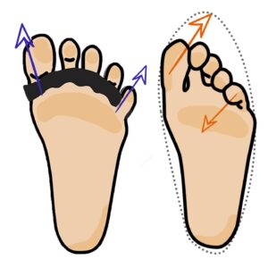 comparing feet spread out with a toe spacer vs toes cramped in a shoe